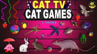 CAT GAMES | BEST VIDEOS FOR CATS TO WATCH ULTIMATE CAT TV |  ENTERTAINMENT FOR CATS 😻 4K 60 FPS