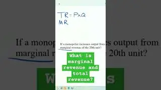 What is marginal revenue and total revenue? 