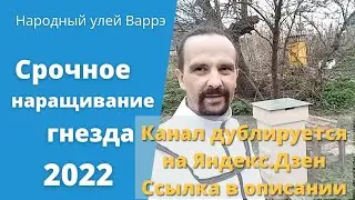 Народный улей Варрэ. Срочное наращивание гнезда