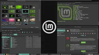 Установка Linux Mint 20 MATE Ulyana на VMWare Workstation 15.5.6 и краткий обзор Linux Mint Mate 20