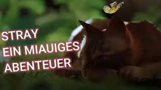 Stray | Ein miaugies Abenteuer...... oder so 001 | Livestream vom 02.08.2022