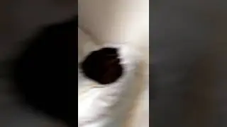 Снимаим бабушкин дом