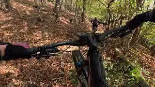 MTB TRAIL Brunate