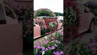 Miracle garden part 1.