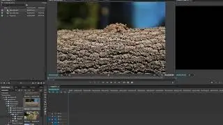06  Importing Media