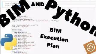BIM Execution Plan in Python