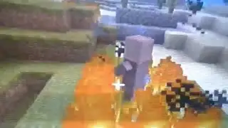 Minecraft ps3 stupid villager (2)