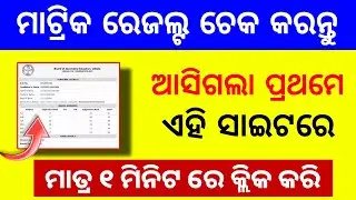 Odisha 10th Matric Result 2024 Website | How to Check Matric Result Through Mobile - BSE Odisha