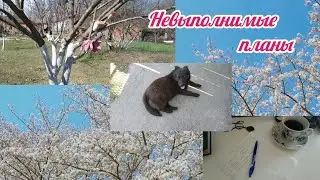 Северянка на хуторе//Кто выполняет намеченное, тот не я//Белю деревья и ноги🤗