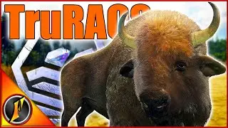 Diamond TruRACS Bison! | The New Bison TruRACS are SO DETAILED!