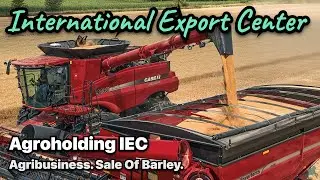 Agribusiness. Growing barley, making a profit from the sale. Agroholding IEC. Agricultural industry.