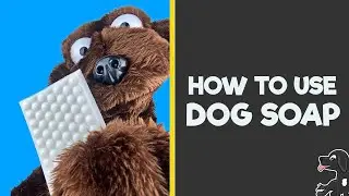 How to use Dog Soap | Buddy Bubbles