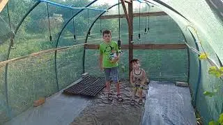 Рассадник под кассетную рассаду клубники 🍓🍓🍓.