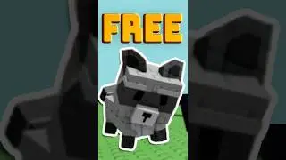 How to get Racoon in Grow a Garden | FREE RACCOON PET & ALL PETS METHOD | Grow a Garden Codes 2025