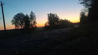 Дорога на Дальнерусаново,заря.Trail camera:forest road, fog running, small forest inhabitants.