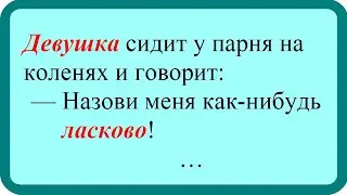 Девушка сидит у парня на коленях.  Лучшие анекдоты. Смешные анекдоты. Веселые анекдоты.