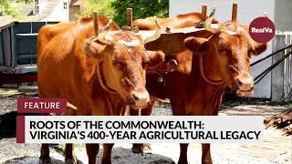 Roots of the Commonwealth: Virginia's 400-Year Agricultural Legacy