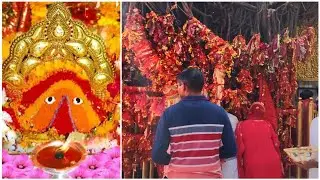 Chintpurni Mata Ji Temple | Chintapurni Temple Himachal Pradesh Complete Information