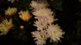 Xperia X10i Android 2.1 HD recording MOV_0637.mp4
