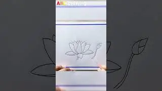 Shapla flower drawing shorts #shorts