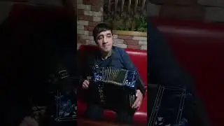 одинокая ветка сирени