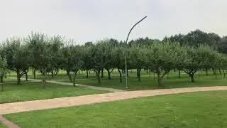 Москва, Мичуринский яблоневый Сад на ВДНХ.