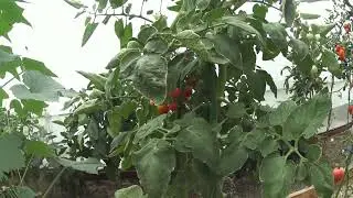 А много нам и не надо :)