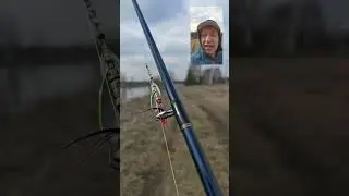 Поющая вращалка