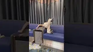 #игра