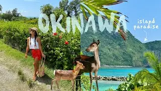 summer in Okinawa | exploring the Kerama islands 🪸🦌🏝️