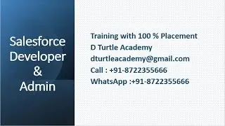 Salesforce Admin & Developer   | Training with 100 % Placement |  +91  8722355666 | D Turtle Academy