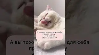 Незаметно#котики#рекомендации#shorts#тренды