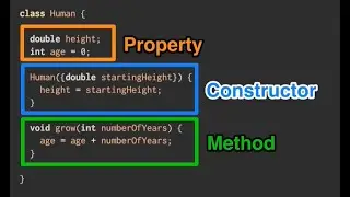 0.7 Class trong Dart/Flutter: Dart Class Constructor