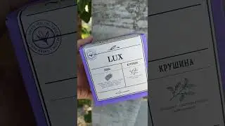 Тапсырыс беру үшін ватсапқа жазыңыз 8702.966.66.41