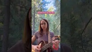 🌲🌸 #wildflowersinthesky #shorts #newmusic #acoustic #music
