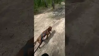Ни на шаг от меня 