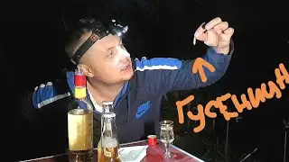 Мескаль с гусеницей Gusanos de Oaxaca пробуем то и то )