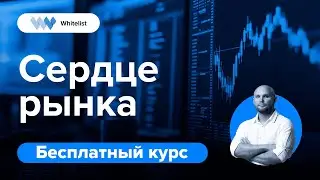 Сердце рынка | Бесплатный курс по трейдингу криптовалют | Академия Whitelist