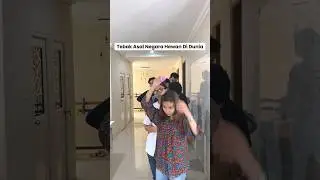 Sebutin nama hewan asal Indonesia?