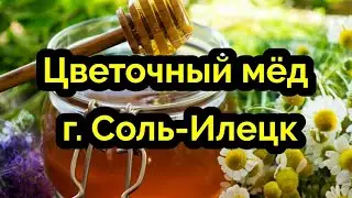 Цветочный Соль-Илецкий мёд 🔥👍😉