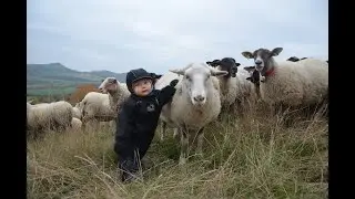 In un luogo sperduto in mezzo alla natura...