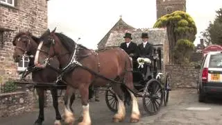 A Life With Heavy Horses