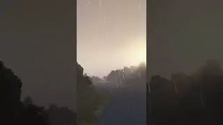 Яички в DAYZ 