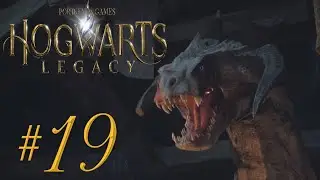 SAVING A DRAGON | Hogwarts Legacy (PS5) #19