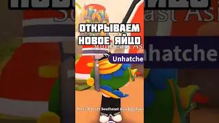 ОТКРЫВАЕМ НОВОЕ ЯЙЦО С ОБНОВЛЕНИЯ В АДОПТ МИ😱#adoptme #roblox #freerobux #robloxgame #adoptmeroblox