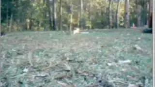PIPE BOMB