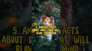5 Amazing Facts About Dogs That Will Blow Your Mind #shorts