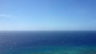 ハワイその２