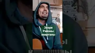 Звери - Районы кварталы