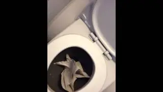 Lufthansa A380- Restroom